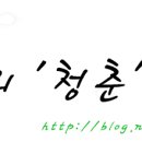 성원 참치 이미지