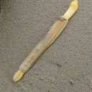 뜰이야기 이미지