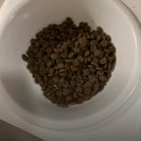 네이처스로우 | 고양이 사료 추천 TOP6 (주관주의) 입맛 까다로운 냥이도 좋아한 브랜드 정리