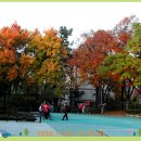 간촌어린이공원 이미지