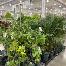 황제세탁소 이미지