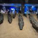 신전선착장 | 6. 콤옴보 신전 후기(가는 방법, 봐야할 부조 정리)