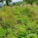 신삼보건진료소 이미지