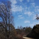 수도녹색숲모티길 이미지