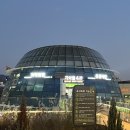 수산마당 | 가락시장 방어 맛집 추천 청해수산 + 가락마당 가격 할인 (특대방어회 10% 할인 꿀팁) 내돈내산 후기