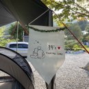 운악산포도체험장 | [가평] 씨엘로 캠핑장 (구: 운악산 포도 캠핑장) _ 한적한 노키즈 캠핑장