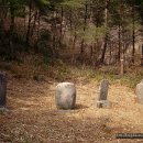 산청...지곡사지 부도.부도비