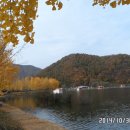 저수지길 이미지