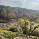 황학산수목원화장실 이미지