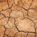 사암늘쾌차한의원 이미지