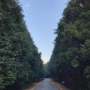 서귀동-32 | 🍊Jeju🍊