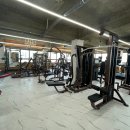 바디닥터짐 이미지