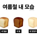 녹지마녹지마