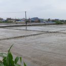 백수읍사무소 이미지