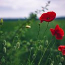 (주)오월의아침 이미지