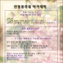 안정플라워 이미지