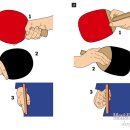 탁구(중급) 이미지