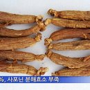 대한홍삼(주) 이미지