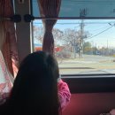 장생포 대왕암 코스 네이버블로그