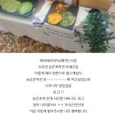 전을 173장이나 부친 &#39;베리베지머치x해먹는사람&#39; 비건 팝업! 2023년 세 번째 쓸어담장 비하인드&amp;후기