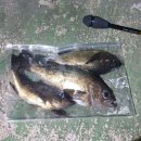 파미리더 이미지