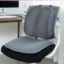 허리나 연구소 이미지