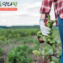 희원 농장 이미지