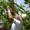 김갑식농장 이미지