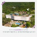 경기북부어린이박물관 | 아기와 함께 가볼만 한 곳, 경기북부어린이박물관 솔직 후기