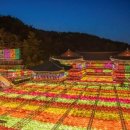 장미원내부 | 5월 가정의 달을 맞아 떠나는 축제 여행지 (연등축제, 보성녹차밭, 장미원)