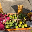 망원시장 | 망원시장 처음 방문 후기｜먹거리 구경 주차장까지 주말 나들이