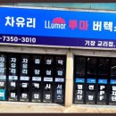 루마버텍스기장교리점