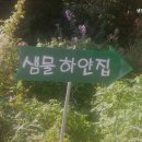 샘물하얀집 이미지