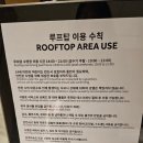 1004호텔 | 대구 메리어트 호텔 루프탑 수영장 어반씨엘로 후기 (내돈내산)