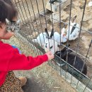 인건농장 이미지