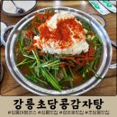 콩크림 듬뿍 강릉초당콩감자탕 :: 강릉 해장 추천 내돈내산 후기