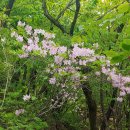 선원농장 이미지