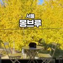몽브루 | 서울 은행나무 명소 강북 우이동 몽브루 카페 포토존 오픈런