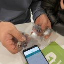 보드+스토리텔링 이미지