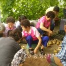 봉곡2리경로당 충청신문