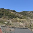 대흥사 | 해남 대흥사 여행 후기 두륜산 속 힐링 사찰 전남 가볼만한 곳