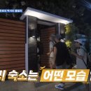 풀라이프투어 이미지