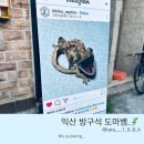 방구석도마뱀