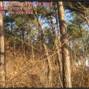 서신초제부분교장 이미지