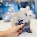 제일미용타운 이미지