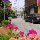 마장로383번길 이미지