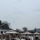 성암미술관 | [일상화카페] | 대전 근교 카페 | 대전 대형 카페 | 화장실 후기 | 주차 공간 | 치아바타 먹어조