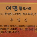 여명꽃집 이미지