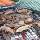 산호숯불아나고 이미지