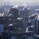 상업용 81 이미지